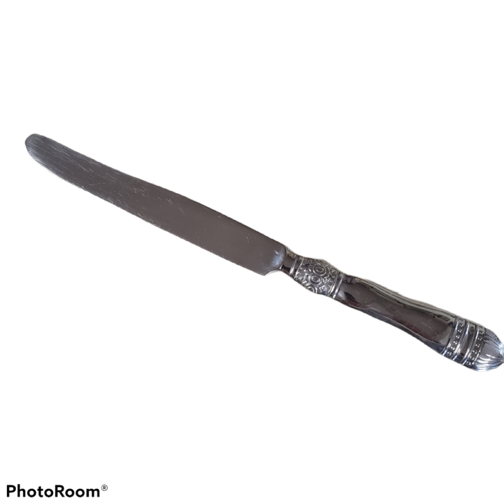 Southern Living Gallery Flatware Knife